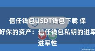 信任钱包USDT钱包下载 保护好你的资产：信任钱包私钥的进军性