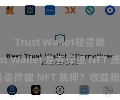 Trust Wallet轻量版下载 Trust Wallet 是否撑捏 NFT 质押？收益指南