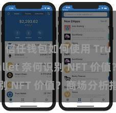 信任钱包如何使用 Trust Wallet 奈何识别 NFT 价值？商场分析指南