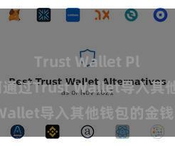 Trust Wallet Play商店 奈何通过Trust Wallet导入其他钱包的金钱？