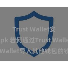 Trust Wallet安卓最新apk 若何通过Trust Wallet导入其他钱包的钞票？