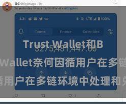 Trust Wallet和BSC Trust Wallet奈何因循用户在多链环境中处理和兑换财富？